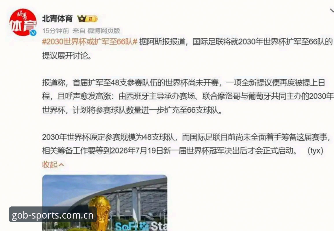 2030年世界杯扩军至66队深度分析：中国男足迎来历史性机遇，在B体育平台感受足球盛宴的全球变革